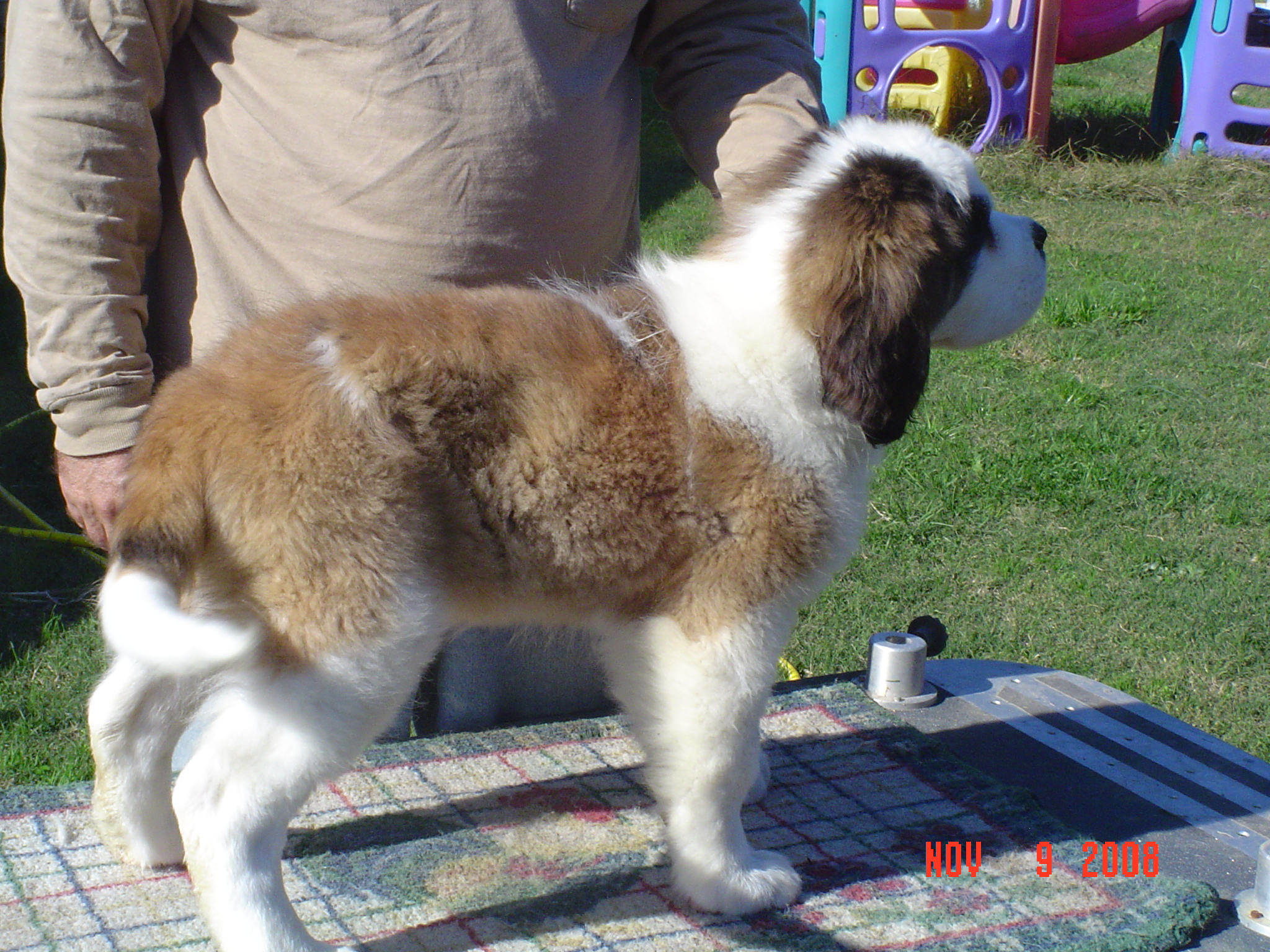 DSC01739