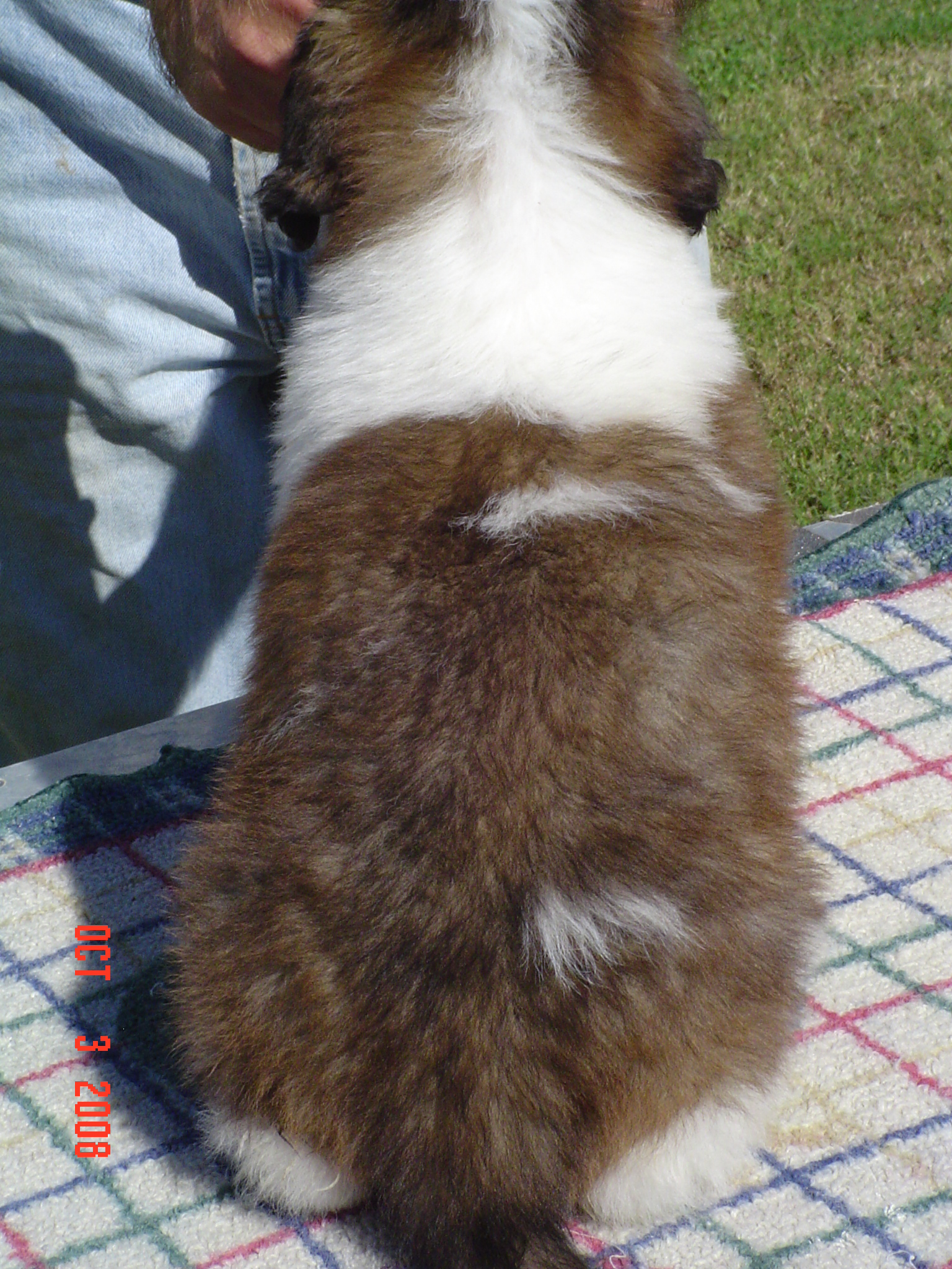 DSC01472